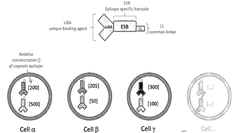 Multiple Epitopes Multiple Epitopes