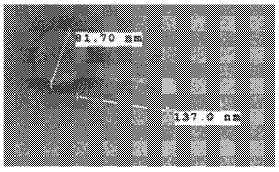 Roche Seeks to Patent Non-Replicative Transduction Particles for Detection of Acinetobacter Baumannii