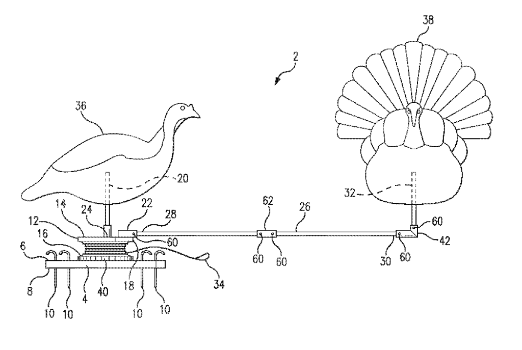 tom turkey and a hen turkey