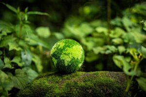 World Environment Day